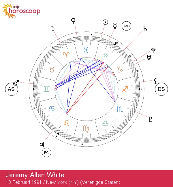 Jeremy Allen White: De Ster van Waterman met Uniek Charisma