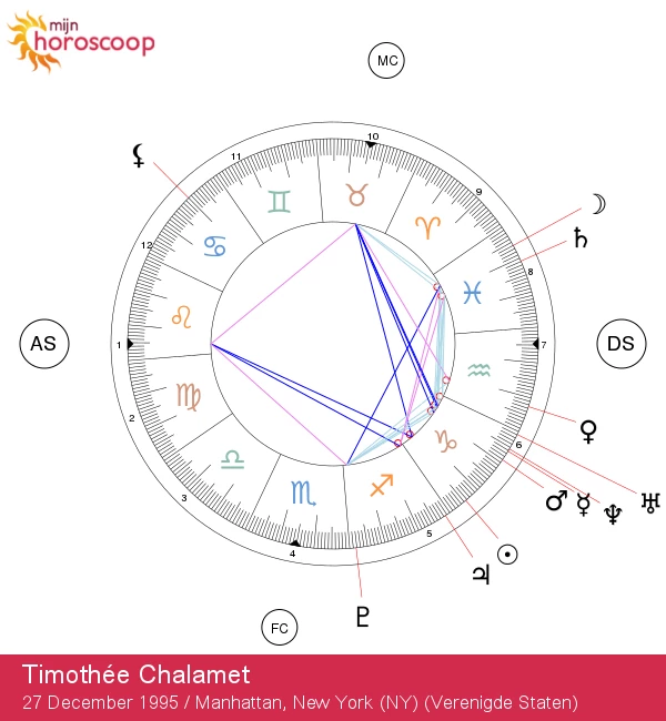 Ontdek de kenmerken van de Steenbok: astrologische inzichten over Timothée Chalamet!