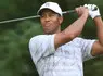 Sterrenbeeld Analyse van Tiger Woods