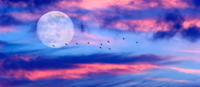 Volle Maan van 31 mei 2026