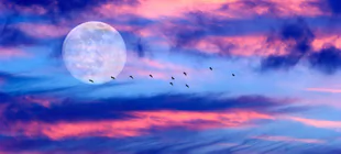 Volle Maan van 31 mei 2026